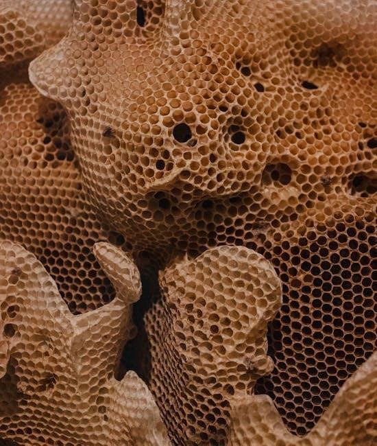 stingless bee hive design pdf