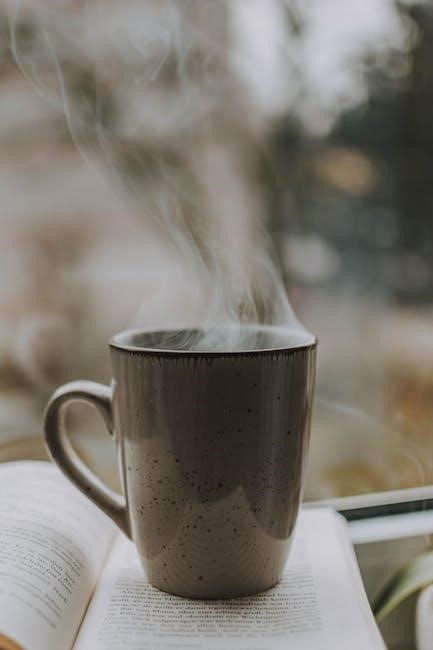 quiet introvert book pdf